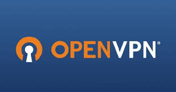 Setting up OpenVPN on Kali
