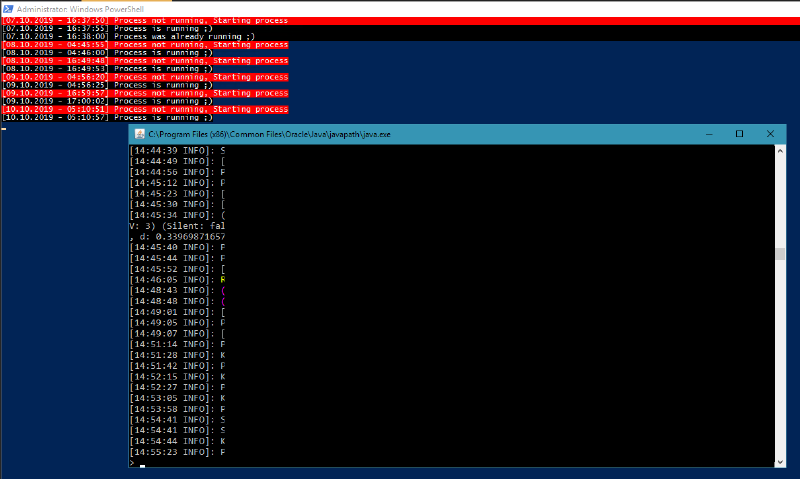 The Script running with the server started