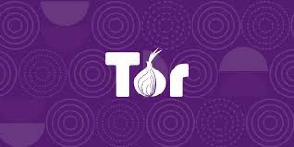 Running TOR on Kali | The proper way